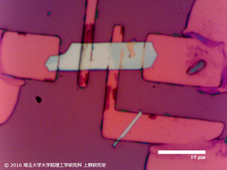 リフトオフ後x100 スケールバー付きB